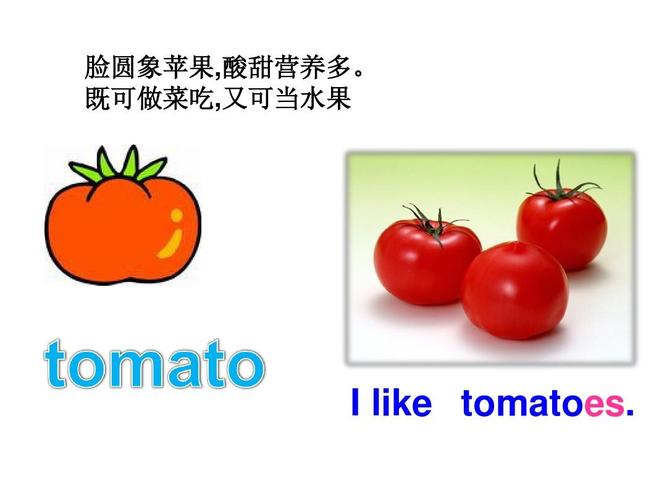 tomatoes是什么意思（tomatoes怎么翻译）