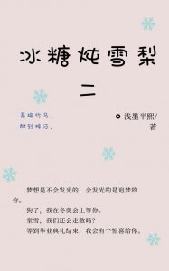 ​冰糖炖雪梨小说结局（主要讲述的是什么故事）