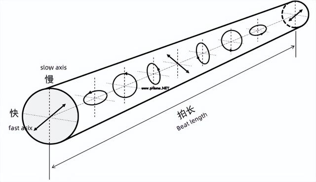 常见的单模光纤有哪些（3分钟了解保偏光纤）(13)