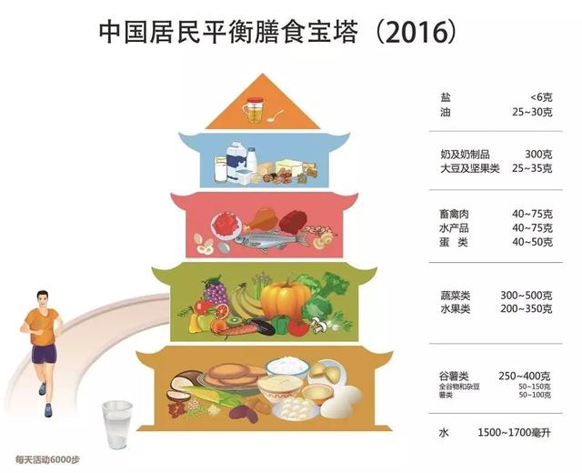 左旋肉碱真是能减肥吗（科学是健康之舟五）(4)