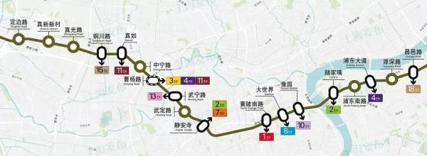 浦东拟新辟调整12条公交线路（上海浦东大道上的公交车又回来了）(7)