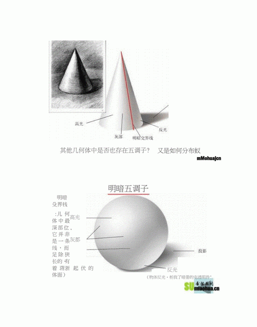 素描的三大面,五大调子指的是什么