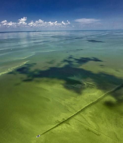 世界上最大的淡水湖是什么湖