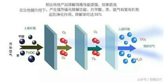 室内如何去甲醛最有效（消除室内甲醛的7种办法）(11)