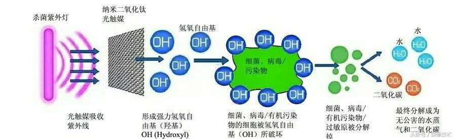 室内如何去甲醛最有效（消除室内甲醛的7种办法）(10)