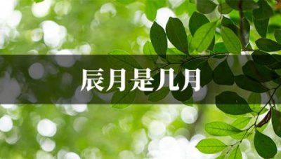 ​辰月是几月（今年甲辰月是几月）