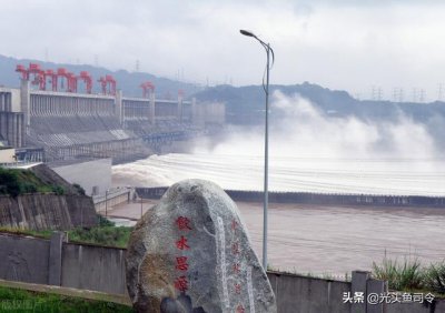 ​三峡库区最大的鱼有多大（三峡大坝蓄水20年）