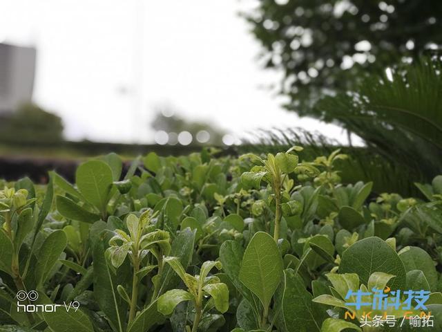 荣耀v9的参数与配置 顶配版荣耀V9评测(29)