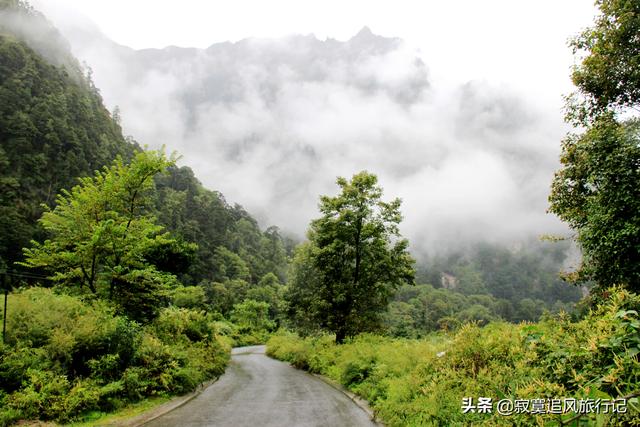 山南勒布沟简介（山南秘境勒布沟）(3)