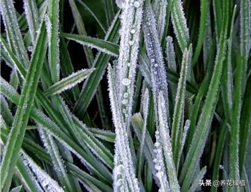 今天立春下雨意味着什么（今天立春看看下雪）(5)