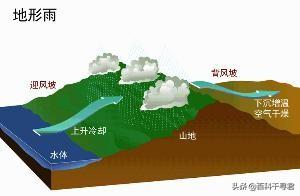 热带雨林自然奇观（大自然的杰作温带雨林）(5)