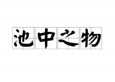 ​池中之物出自（池中之物出自哪里）