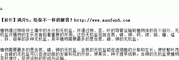 身体内的无机盐主要是指什么