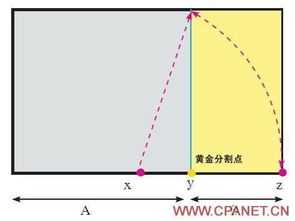 黄金分割点是多少(黄金分割点是多少合适)