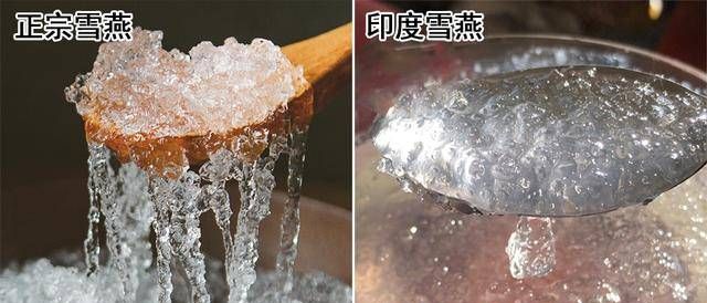 雪燕泡出来是果冻状的是不是假的呀