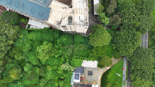 鹦哥岭原始社会遗址（观文脉鹦歌山新石器时代遗址）(4)