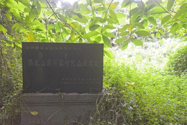 鹦哥岭原始社会遗址（观文脉鹦歌山新石器时代遗址）(6)