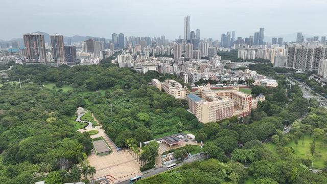 鹦哥岭原始社会遗址（观文脉鹦歌山新石器时代遗址）(3)