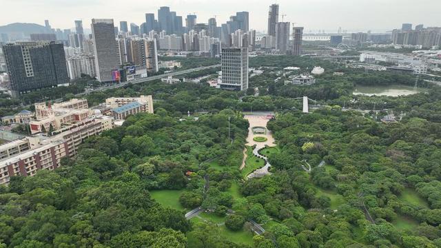 鹦哥岭原始社会遗址（观文脉鹦歌山新石器时代遗址）(2)