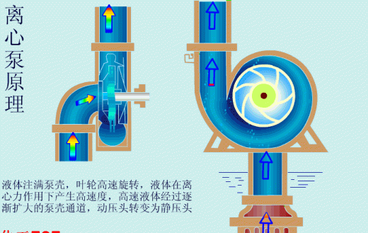 电离平衡和沉淀反应实验原理