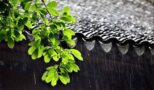 每年的梅雨季节是什么时候到什么时候结束