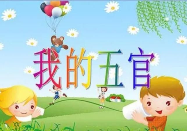 五官的作用分别是什么幼儿园