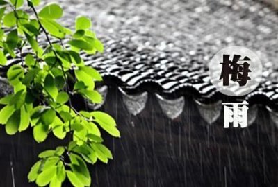 ​梅雨季节什么时候,梅雨季节什么时候开始