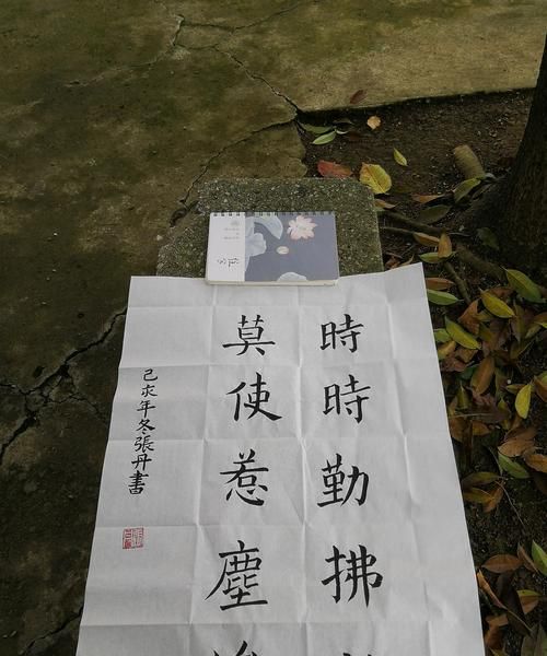 身是菩提树心如明镜台时时勤拂拭莫使有尘埃是什么意思