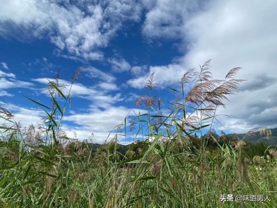 ​锦上添花什么意思（锦上添花与雪中送炭的含义不同点）