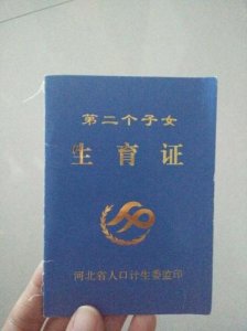 ​北京二胎准生证网上申请(北京二胎准生证办理流程2023)