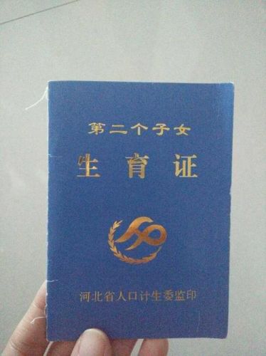 北京二胎准生证网上申请(北京二胎准生证办理流程2023)-第1张图片-