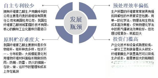 中国燃料乙醇行业发展前景及投资前景展望报告-