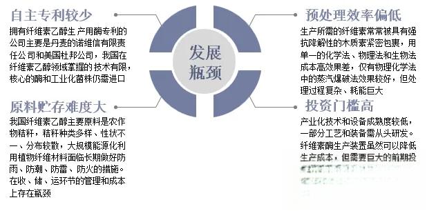 中国燃料乙醇行业发展前景及投资前景展望报告-