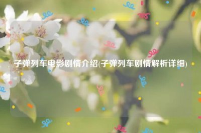 ​子弹列车电影剧情介绍(子弹列车剧情解析详细)