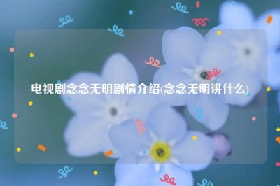 ​电视剧念念无明剧情介绍(念念无明讲什么)