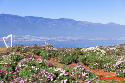 ​丽江的旅游景点  5个丽江著名的旅游景点