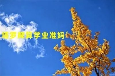 ​算学业怎么算