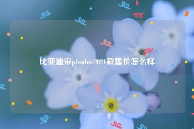 ​比亚迪宋plusdmi2021款售价怎么样