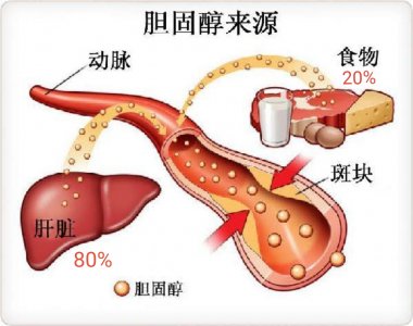 ​降低胆固醇的食物（这5种食物让胆固醇悄悄降）