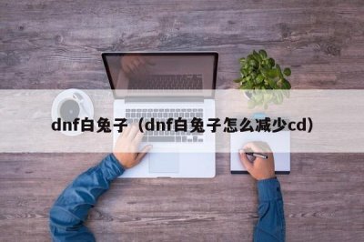 ​dnf白兔子（dnf白兔子怎么减少cd）