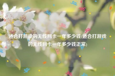 ​适合打游戏的无线网卡一年多少钱(适合打游戏的无线网卡一年多少钱正常)