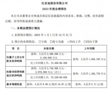 ​比亚迪日赚8000万，股价创两年半新低