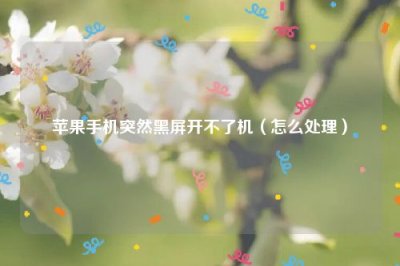 ​苹果手机突然黑屏开不了机（怎么处理）