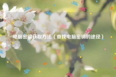 ​电脑密钥获取方法（查找电脑密钥的途径）