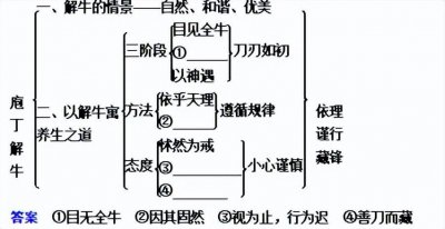 ​庖丁解牛知识结构图 庖丁解牛重点文言知识