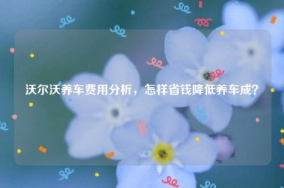 ​沃尔沃养车费用分析，怎样省钱降低养车成？