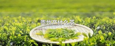 ​贵州茶叶在全国名气 贵州什么茶叶最出名