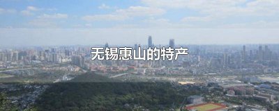 ​无锡惠山的特产 无锡惠山的特产是什么水果