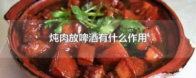 ​炖肉放啤酒的好处 炖肉的时候加啤酒的作用是什么呢