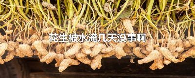 ​花生被水淹几天没事啊 花生被水淹几天没事啊还能吃吗